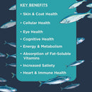 Nulo Omega 3-6-9 Fish Oil Blend Supplement For Dogs & Puppies (16 oz)