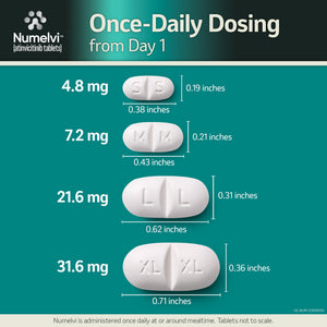 Numelvi (atinvicitinib tablets) for Dogs - Pet Medicine 2