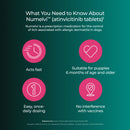 Numelvi (atinvicitinib tablets) for Dogs - Pet Medicine 42