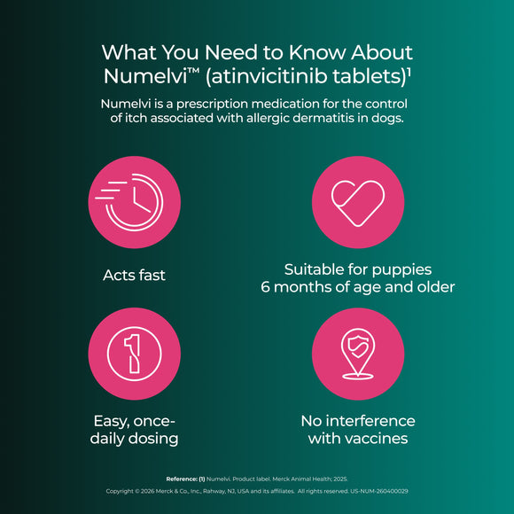Numelvi (atinvicitinib tablets) for Dogs - Pet Medicine 42