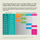 Numelvi (atinvicitinib tablets) for Dogs - Pet Medicine 44