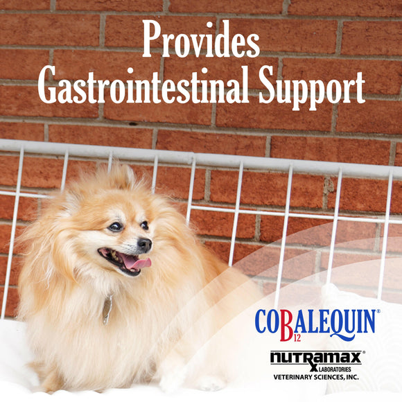 cobalequin b12 for cats