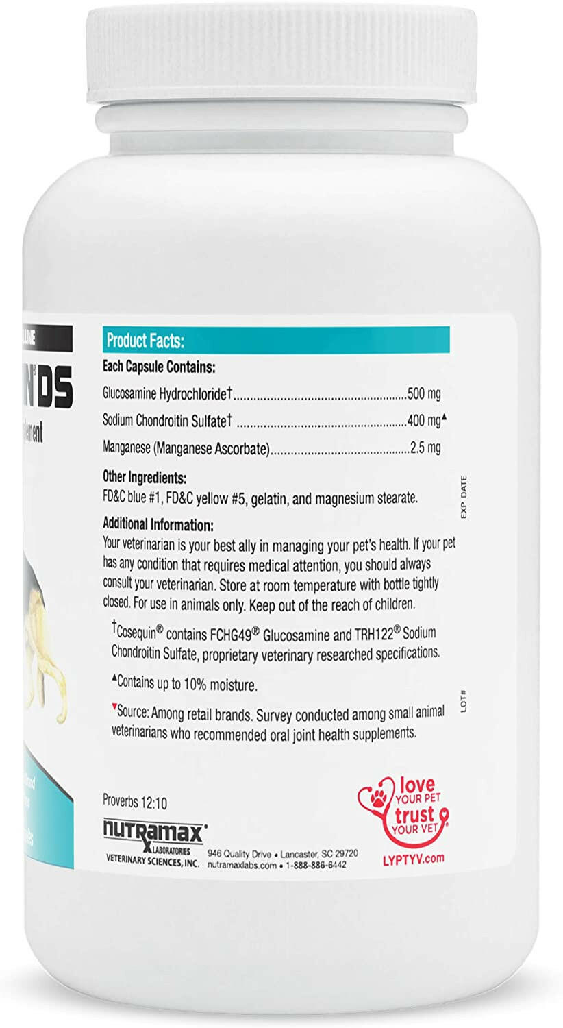 Cosequin DS Joint Health Supplement Capsules for Dogs