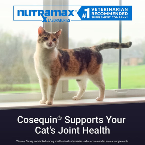 Nutramax Cosequin Joint Health Supplement for Cats - With Glucosamine and Chondroitin 80 Capsules - Cat Supplements &