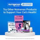Nutramax Cosequin Joint Health Supplement for Cats - With Glucosamine and Chondroitin 80 Capsules - Cat Supplements &