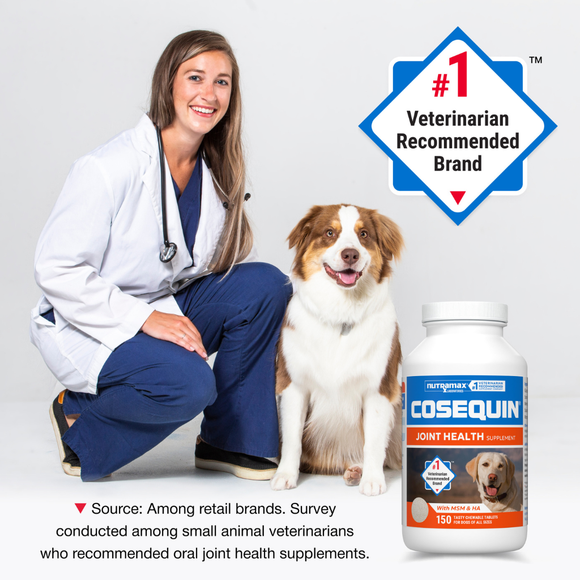 Nutramax Cosequin Maximum Strength Joint Health Supplement for Dogs - With Glucosamine Chondroitin MSM and Hyaluronic
