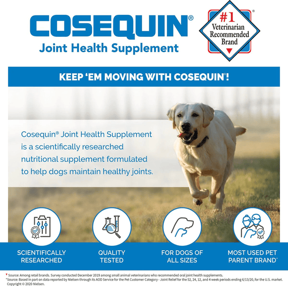 cosequin maximum strength plus msm & ha