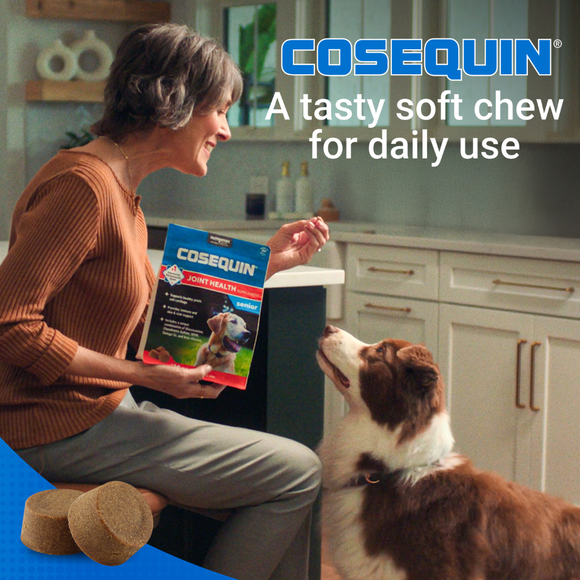 Nutramax Cosequin Senior Joint Health Supplement for Senior Dogs - With Glucosamine Chondroitin Omega-3 for Skin