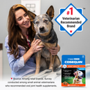 Nutramax Cosequin Senior Joint Health Supplement for Senior Dogs - With Glucosamine Chondroitin Omega-3 for Skin