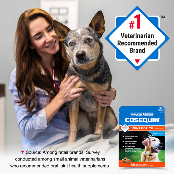 Nutramax Cosequin Senior Joint Health Supplement for Senior Dogs - With Glucosamine Chondroitin Omega-3 for Skin