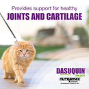 Dasuquin formula ingredients infographic showing glucosamine, chondroitin sulfate, and avocado/soybean unsaponifiables.