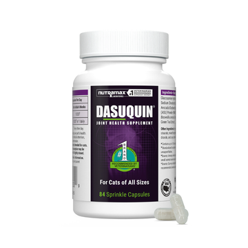 Nutramax Dasuquin Joint Health Supplement for Cats - With Glucosamine, Chondroitin, ASU, Boswellia Serrata Extract, and Green Tea Extract, 84 Capsules