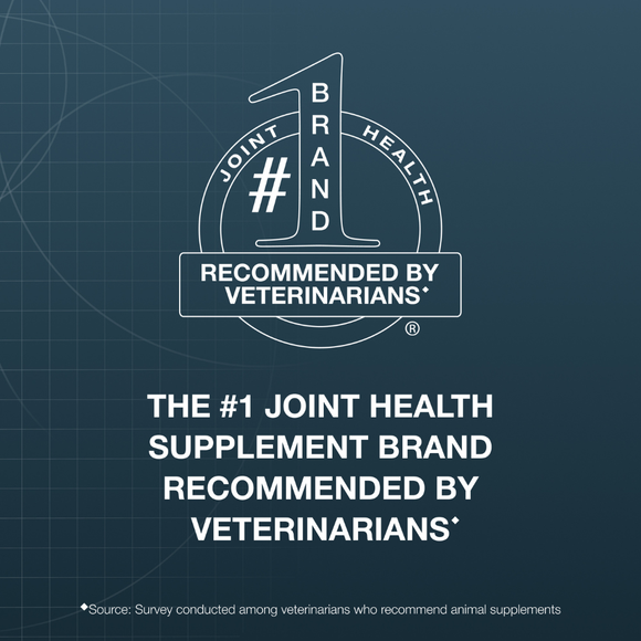 Nutramax Dasuquin Joint Health Supplement for Cats - With Glucosamine Chondroitin ASU Boswellia Serrata Extract
