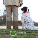 Nutramax Dasuquin Joint Health Supplement for Large Dogs - With Glucosamine Chondroitin ASU MSM Boswellia Serrata