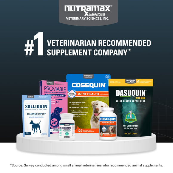 Nutramax Dasuquin Joint Health Supplement for Large Dogs - With Glucosamine Chondroitin ASU MSM Boswellia Serrata