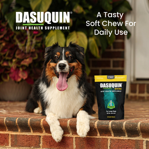 Nutramax Dasuquin Joint Health Supplement for Large Dogs - With Glucosamine Chondroitin ASU MSM Boswellia Serrata