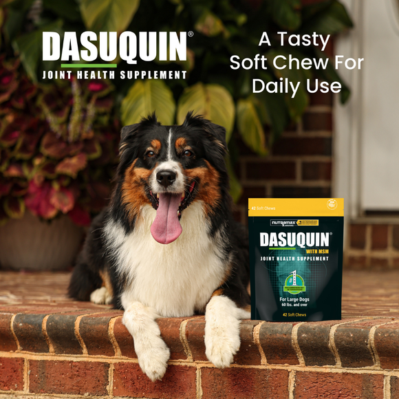 Nutramax Dasuquin Joint Health Supplement for Small to Medium Dogs - With Glucosamine Chondroitin ASU MSM Boswellia