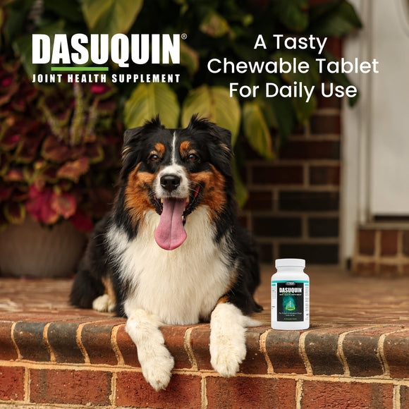 Nutramax Dasuquin Joint Health Supplement for Small to Medium Dogs - With Glucosamine Chondroitin ASU Boswellia Serrata