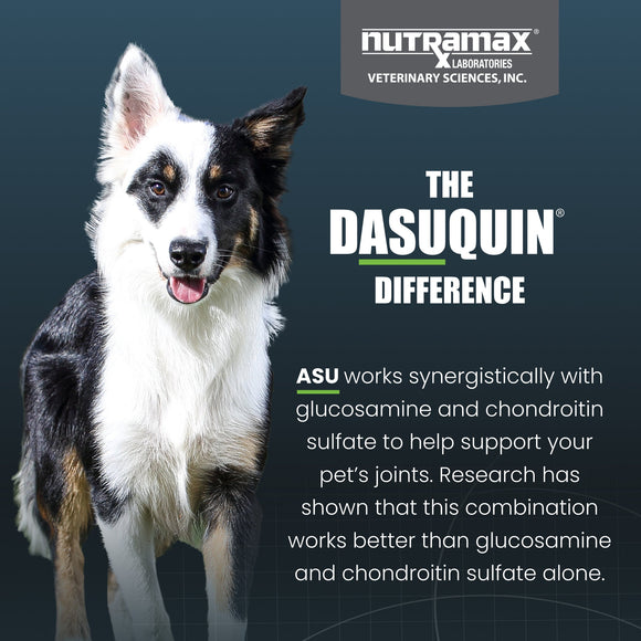 Nutramax Dasuquin Joint Health Supplement for Small to Medium Dogs - With Glucosamine Chondroitin ASU Boswellia Serrata