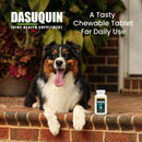 Nutramax Dasuquin Joint Health Supplement for Small to Medium Dogs - With Glucosamine Chondroitin ASU MSM Boswellia