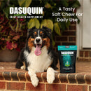Nutramax Dasuquin Joint Health Supplement for Small to Medium Dogs - With Glucosamine Chondroitin ASU Boswellia Serrata