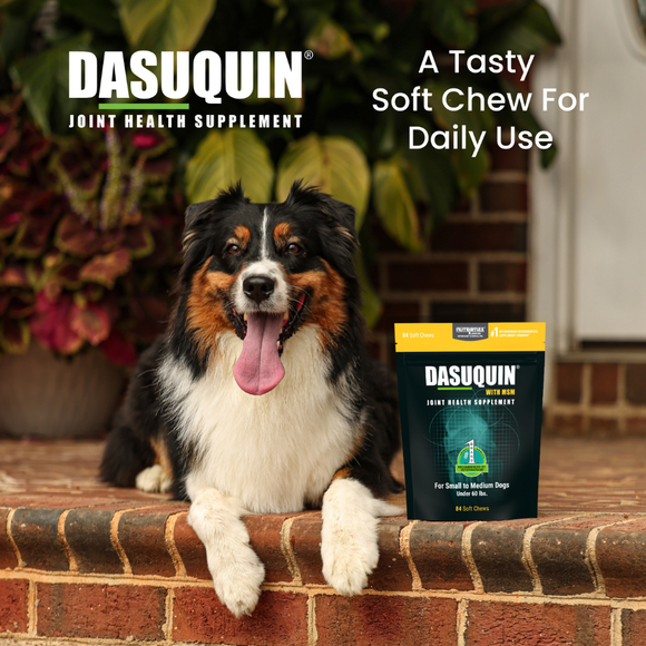 Nutramax Dasuquin Joint Health Supplement for Small to Medium Dogs - With Glucosamine Chondroitin ASU MSM Boswellia