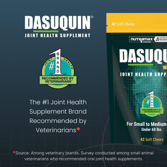 Nutramax Dasuquin Joint Health Supplement for Small to Medium Dogs - With Glucosamine Chondroitin ASU MSM Boswellia