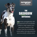 Nutramax Dasuquin with MSM Joint Health Supplement for Large Dogs - With Glucosamine MSM Chondroitin ASU Boswellia