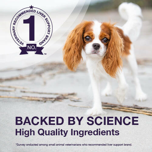 nutramax for dogs