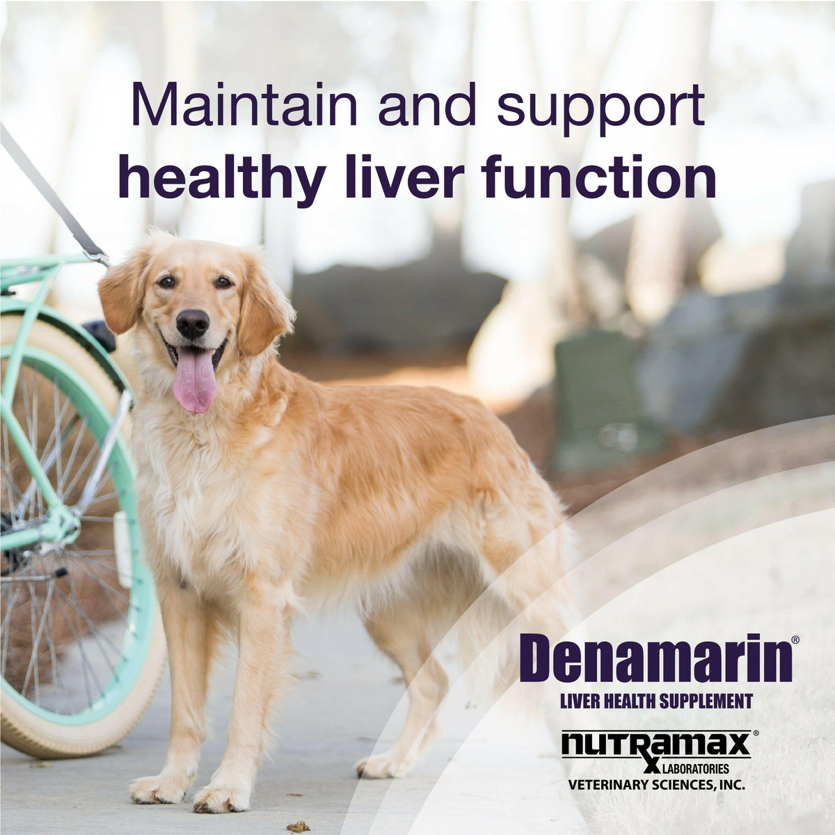 Denamarin Liver Health Supplement Tablets for Large Dogs