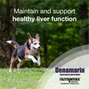 Nutramax Denamarin Liver Health Supplement for Medium Dogs - With S-Adenosylmethionine (SAMe) and Silybin - Dog