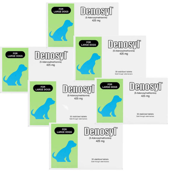 Nutramax Denosyl Liver and Brain Health Supplement for Large Dogs With S-Adenosylmethionine (SAMe) - 6 pack (180