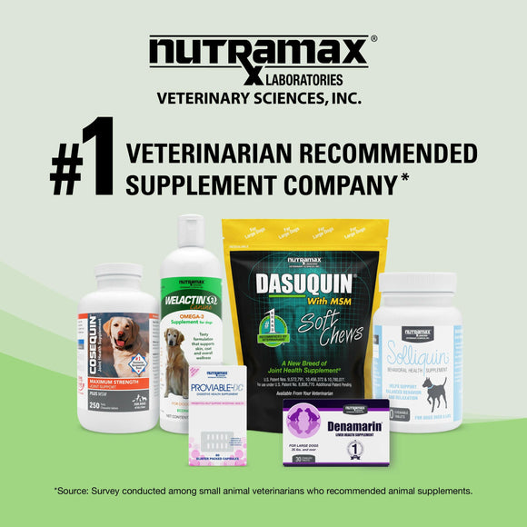 Nutramax Denosyl Liver and Brain Health Supplement for Large Dogs With S-Adenosylmethionine (SAMe) - Dog Supplements &