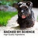 Nutramax Denosyl Liver and Brain Health Supplement for Medium Dogs With S-Adenosylmethionine (SAMe) - Dog Supplements &