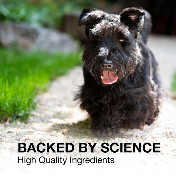 Nutramax Denosyl Liver and Brain Health Supplement for Medium Dogs With S-Adenosylmethionine (SAMe) - Dog Supplements &