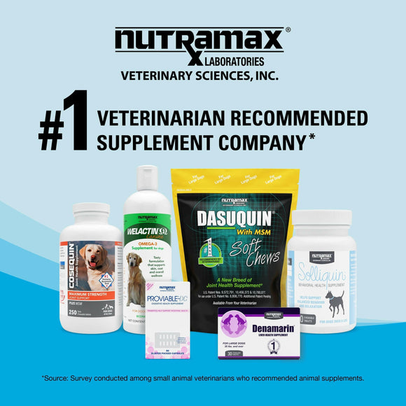 Nutramax Denosyl Liver and Brain Health Supplement for Medium Dogs With S-Adenosylmethionine (SAMe) - Dog Supplements &