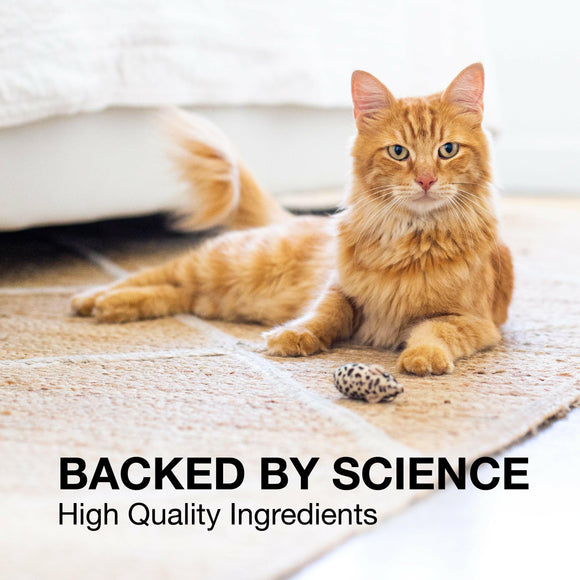Nutramax Denosyl Liver and Brain Health Supplement for Small Dogs and Cats With S-Adenosylmethionine (SAMe) - Dog
