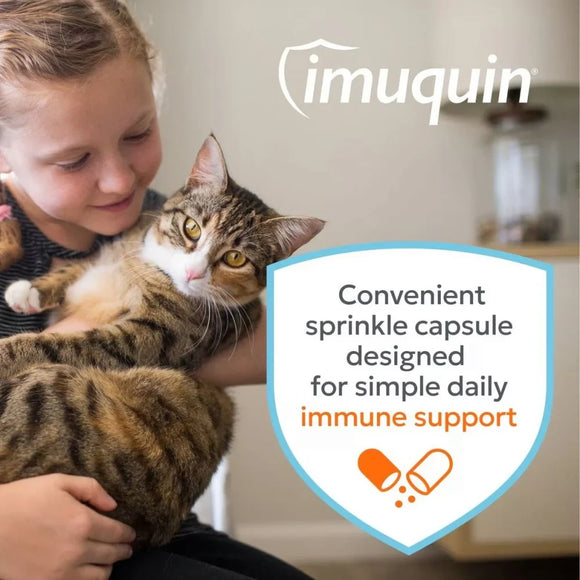 Nutramax Imuquin Immune Health Supplement for Cats 30 Sprinkle Capsules - Cat Immune & Allergy Supplements 8