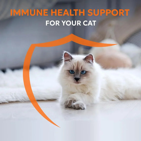 Nutramax Imuquin Immune Health Supplement for Cats 30 Sprinkle Capsules - Cat Immune & Allergy Supplements 7
