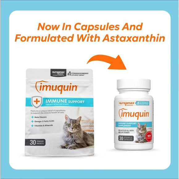 Nutramax Imuquin Immune Health Supplement for Cats 30 Sprinkle Capsules - Cat Immune & Allergy Supplements 2
