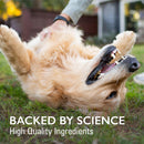 Nutramax Imuquin Immune Health Supplement Powder for Dogs 30 Packets - Dog Vitamins & Supplements 5