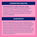 Nutramax Proviable-DC Digestive Health Supplement - Probiotics for Dogs & Cats - Dog Supplements & Vitamins 6