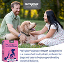 Nutramax Proviable-DC Digestive Health Supplement - Probiotics for Dogs & Cats - Dog Supplements & Vitamins 3