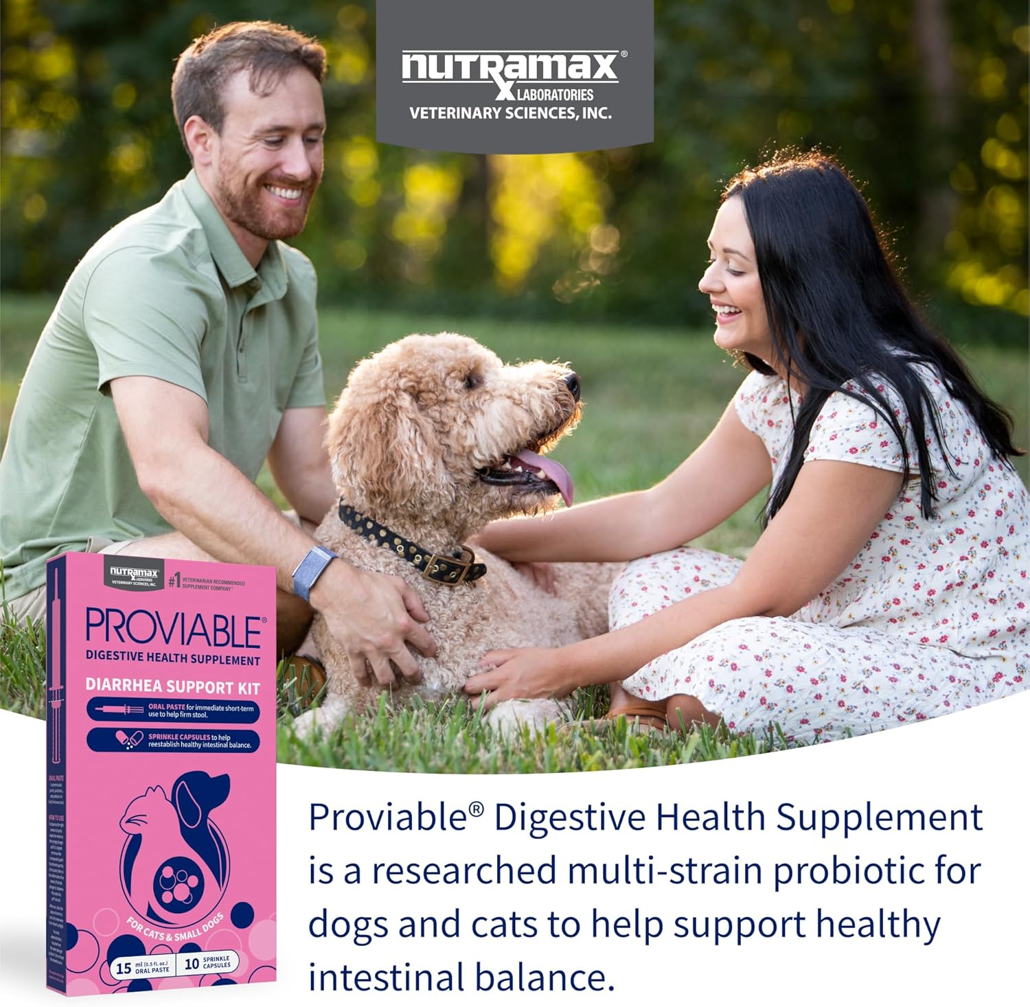 Nutramax Proviable Digestive Supplement Kit for Cats & Dogs