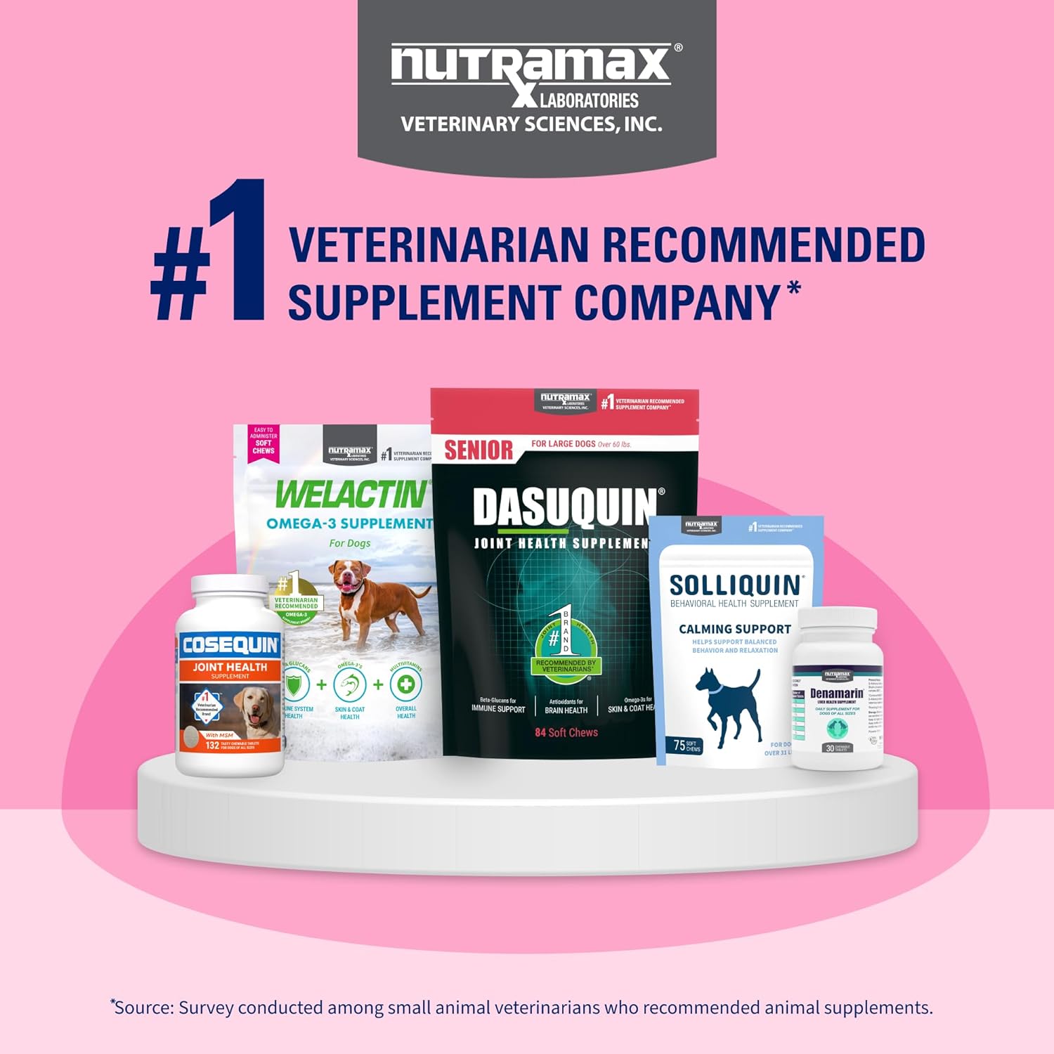 Nutramax Proviable Digestive Supplement Kit for Cats & Dogs