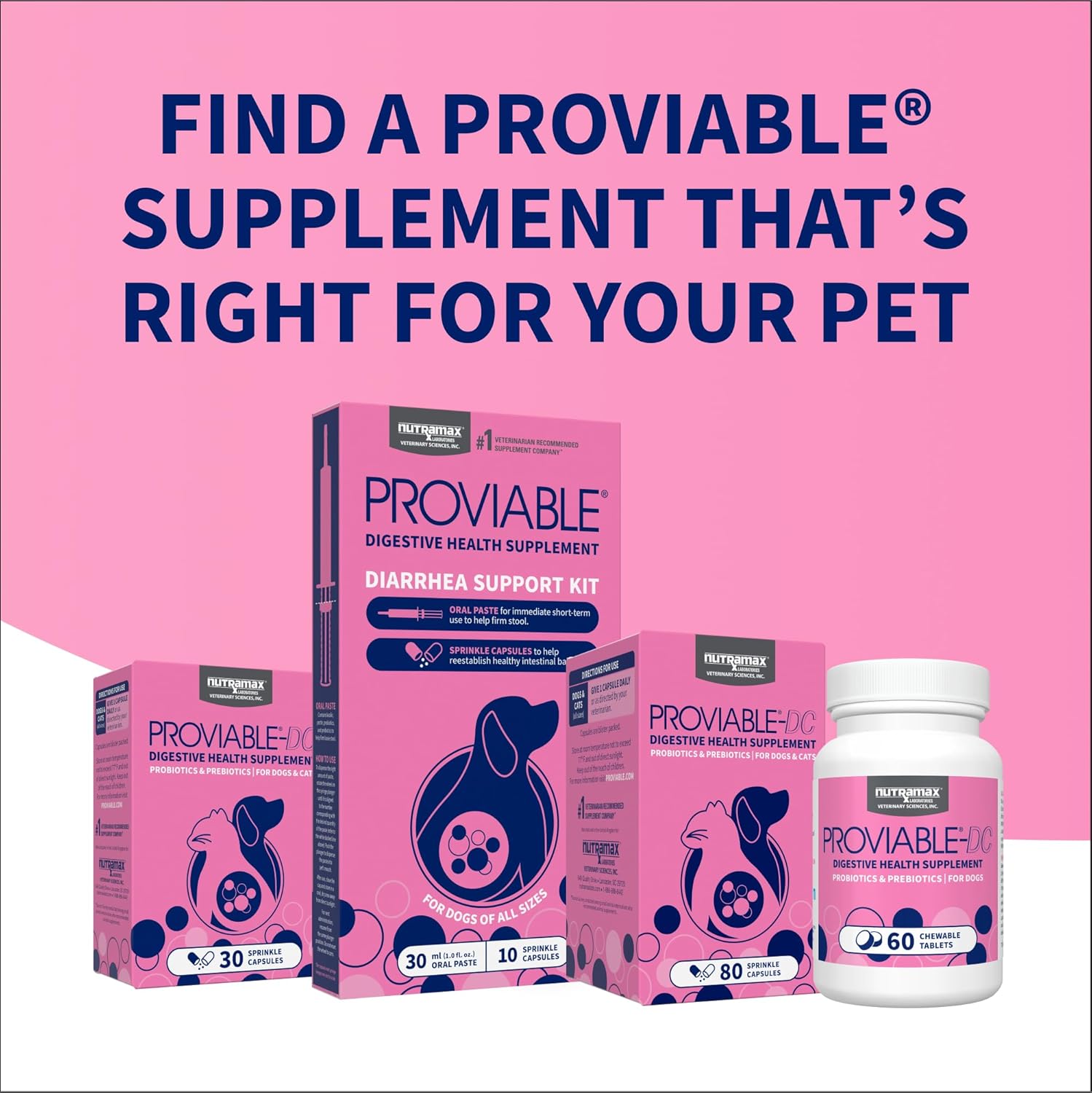Nutramax Proviable Digestive Supplement Kit for Cats & Dogs