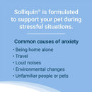 Nutramax Solliquin Calming Behavioral Health Supplement for Large Dogs – 75 Soft Chews - Dog Vitamins & Supplements 4