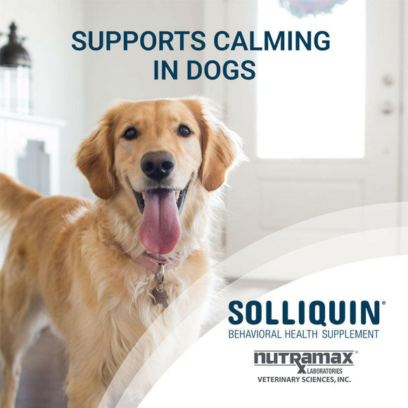 Nutramax Solliquin Calming Behavioral Health Supplement for Large Dogs – 75 Soft Chews - Dog Vitamins & Supplements 3