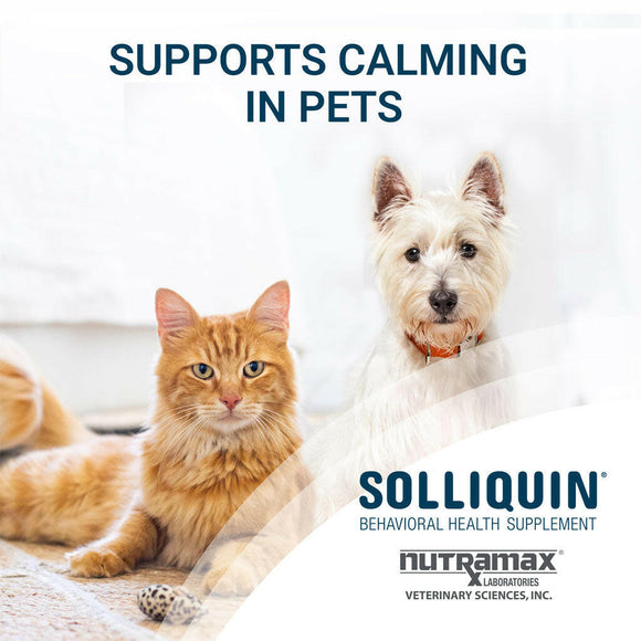 nutramax solliquin