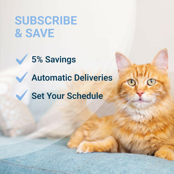 Nutramax Solliquin Calming Behavioral Health Supplement for Small to Medium Dogs and Cats - With L-Theanine Magnolia